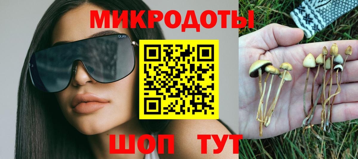 Галлюциногенные грибы Psilocybe Куйбышев